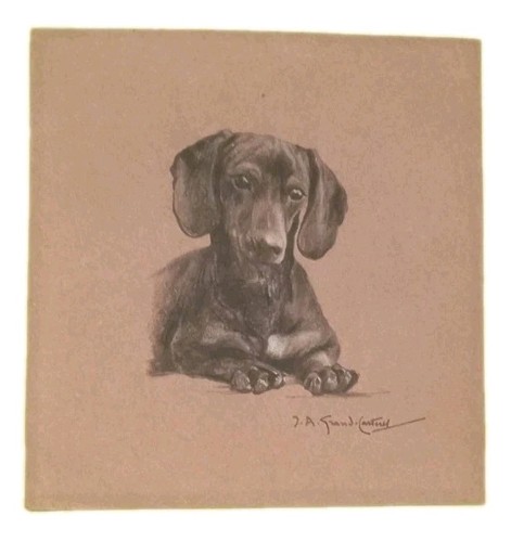 Jean albert grand - jean-albert, grand-carteret
