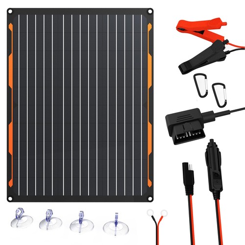 Chargeur batterie de - chargeur,