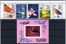 A626/ FUJEIRA / OISEAUX – MI