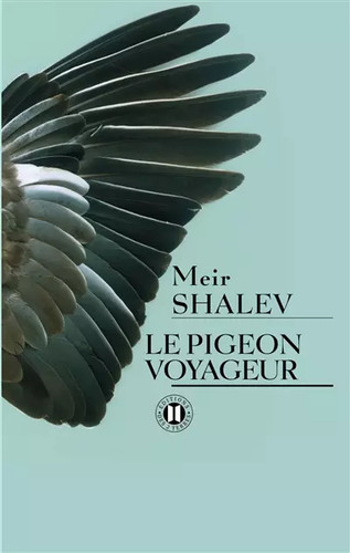 Pigeon voyageur meir - pigeon, voyageur,