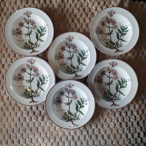 Lot 6 assiettes - lot, de