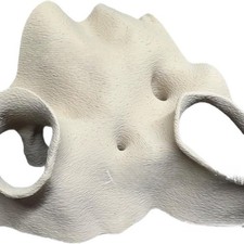 Cachette d'angle de racine de