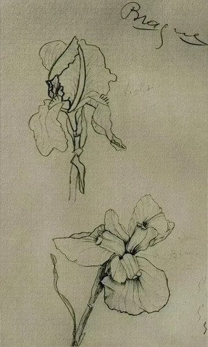 Georges braque les iris - braque,