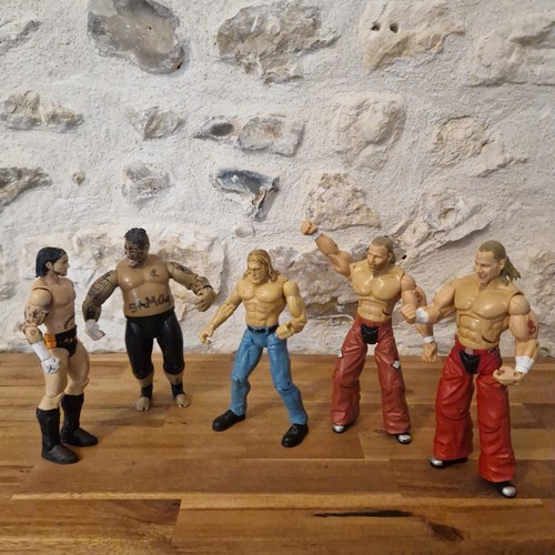 Lot figurines catch wwe cm - 5,