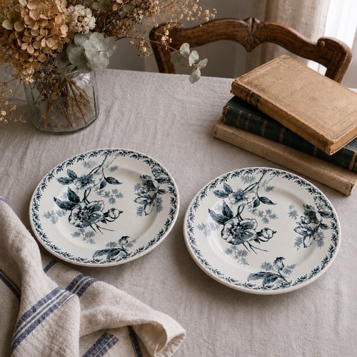 Paire assiettes semi creuses - paire,