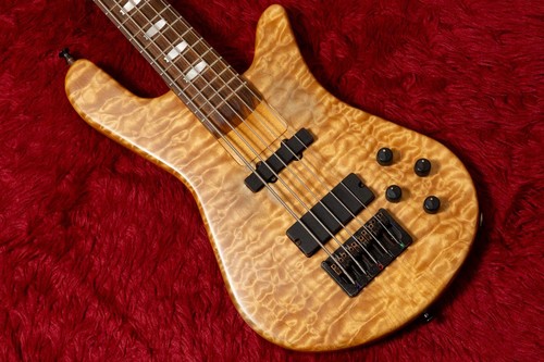 Basse électrique spector - basse,