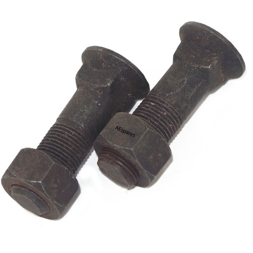 Paire vis pour dents - dents, de