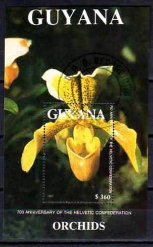 Fleurs orchidées guyana - -,