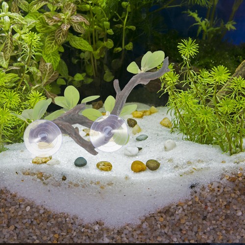 Ornements daquarium branche - daquarium,