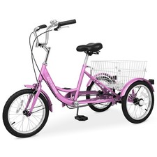Beginner Tricycle 16in 1 Speed