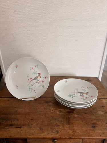 Lot assiettes plates - 6,
