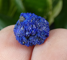 Cristaux Azurite Chessylite intense Chessy les Mines 1cm France collection bleu