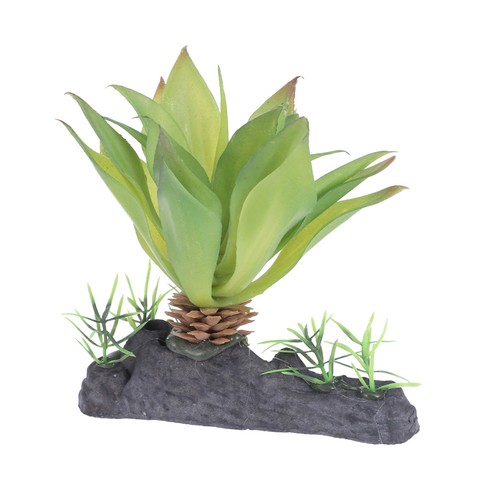 Décoration terrarium - décoration, de