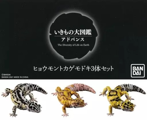 Mini figurine gecko léopard