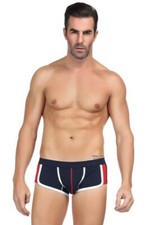 Mini boxer  Paris Hollywood