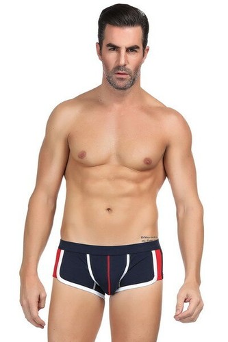 Mini boxer paris hollywood - boxer,