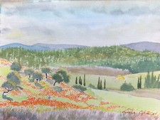 Dessin Original Aquarelle LUCE GÉAS Paysage Provençal Fleurs Oliviers PROVENCE