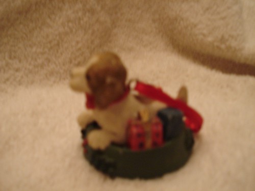 Brown white dog presents - white,