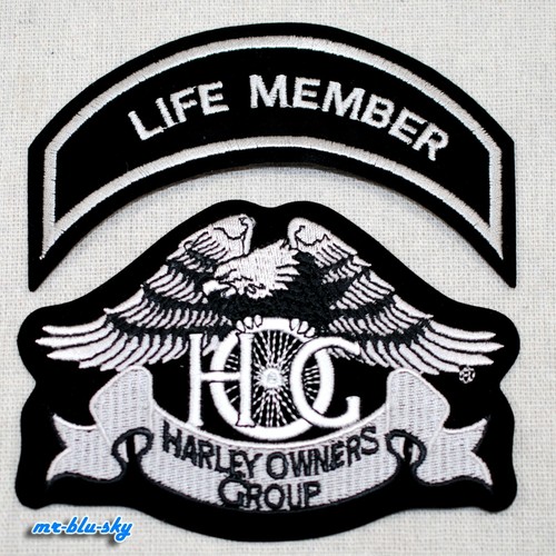 Small heritage eagle life - eagle,