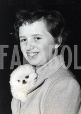 Photo De Presse Vintage Chiens, 1957, Chiot De Chien Pékinois, Tirage 21 X 15 Cm