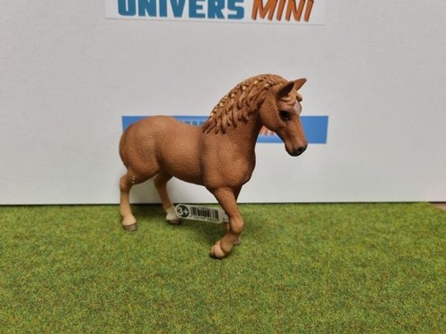 13852 jument quarter horse - jument,
