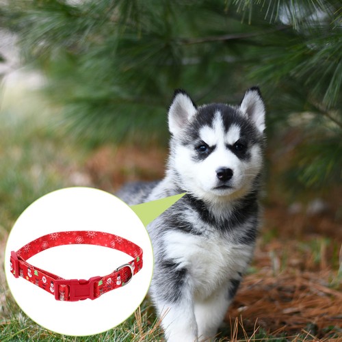 Collerette pour chien - pour,