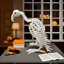 Vautour squelette crâne de