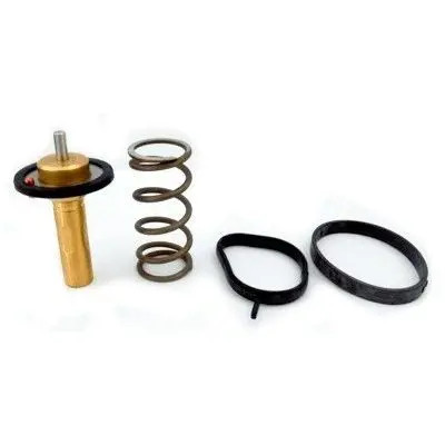 Thermostat 92839 meat doria - thermostat,