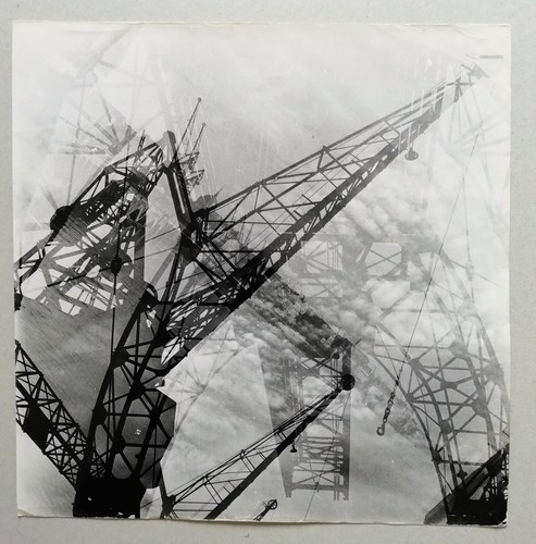 Photo composition aux grues - photo,