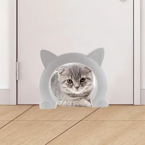 Porte chatière chien - porte,