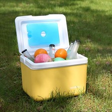 Mini Glacière 6L Isolée Chaud/Froid Congélateur Cool Picnic Camping Portable