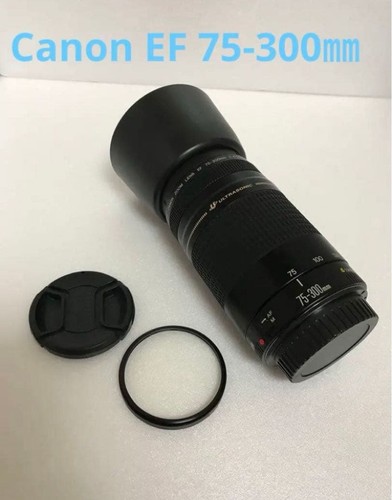 Objectif zoom canon 300 - zoom, 75-300