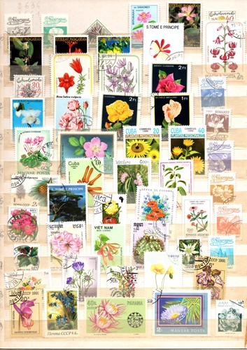 Timbres lot 50 - ,