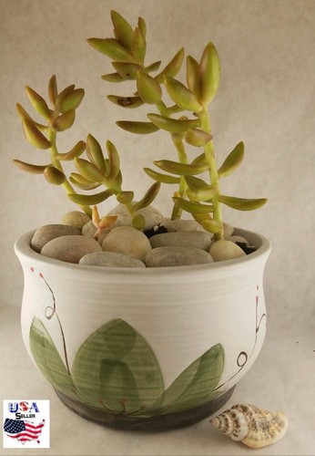 Succulent plant flower ceramic - succulent,