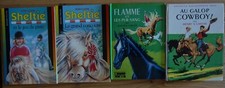 Lot Au Galop Cowboy! Flamme et