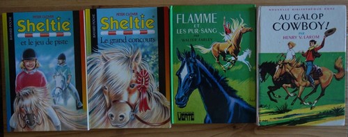 Lot galop cowboy flamme et - cowboy!,