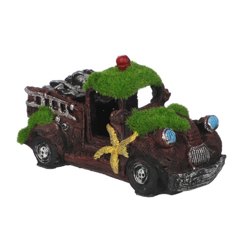 Decoration terrarium - ,