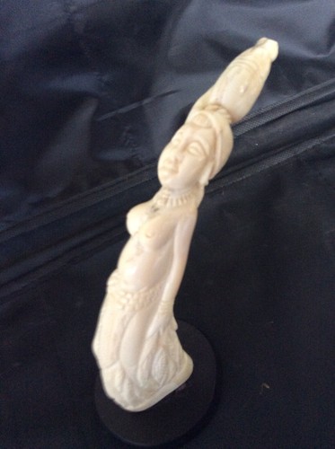 Dent phacochere sculptee - dent,