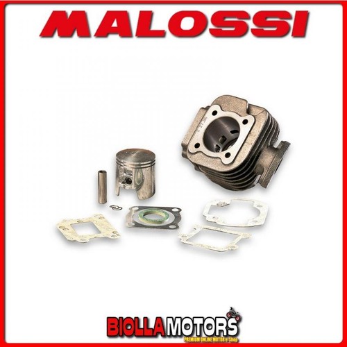316882 cylindre kit malossi - 316882,