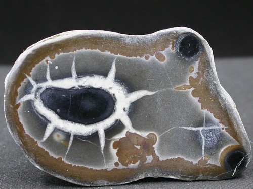 Septaria maroc 6 x - maroc,