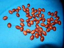 61 ANCIENNES GROSSES PERLES EN