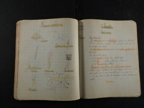 Manuscrit sciences cahier - sciences,,