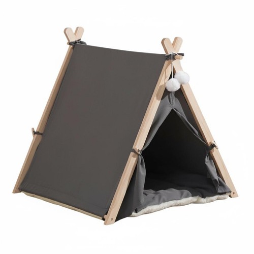 tipi chien
