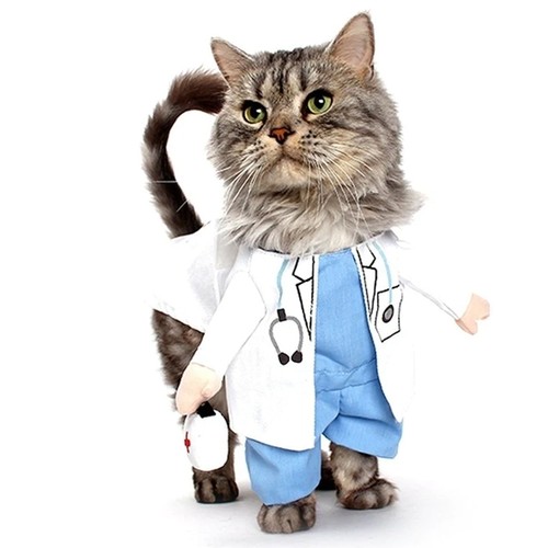 Costume pour chat petite - pour,