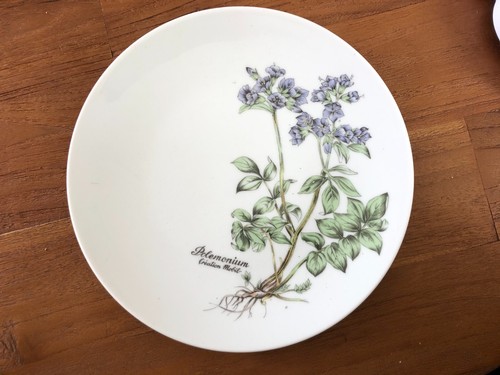 Assiette décorative - assiette,