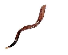 Shofar Vente Kudu Corne Yéménite Entre 35-37" Casher Tout Polonais Chofar...