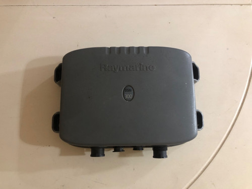 raymarine dsm300