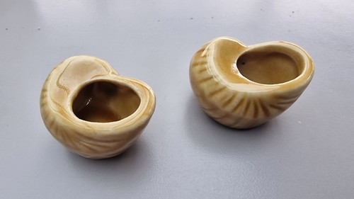 Coquilles escargot pour - d',
