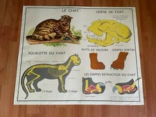 CARTE SCOLAIRE Editions