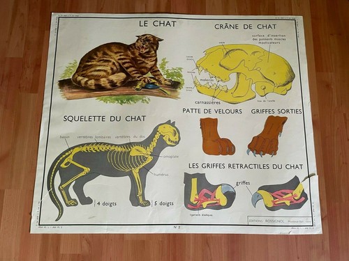 Carte scolaire editions - scolaire,